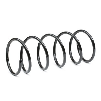 Suspension Spring RIDEX 188C0528 188C0528 - photo 3