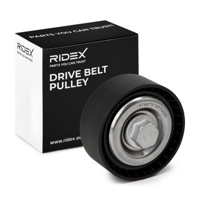 Drive Belt Tensioner RIDEX 310T0674 310T0674 - photo 2