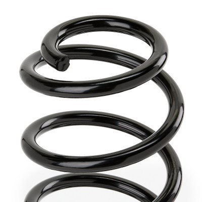 Suspension Spring RIDEX 188C0713 188C0713 - photo 3