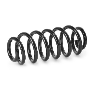 Suspension Spring RIDEX 188C0913 188C0913 - photo 2