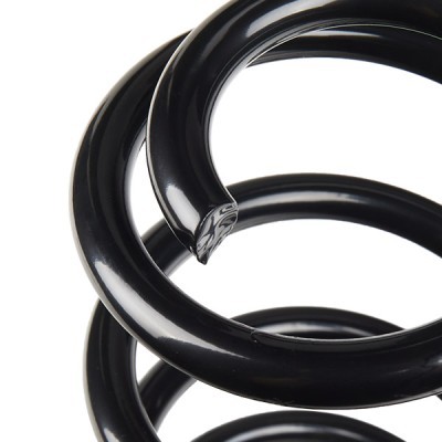 Suspension Spring RIDEX 188C0817 188C0817 - photo 4