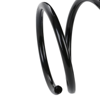 Suspension Spring RIDEX 188C0487 188C0487 - photo 4