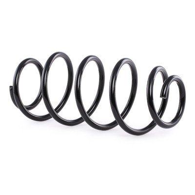 Suspension Spring RIDEX 188C0298 188C0298 - photo 3