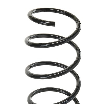 Suspension Spring RIDEX 188C0200 188C0200 - photo 5