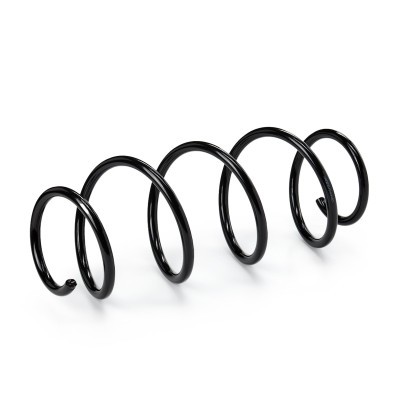 Suspension Spring RIDEX 188C0990 188C0990 - photo 2