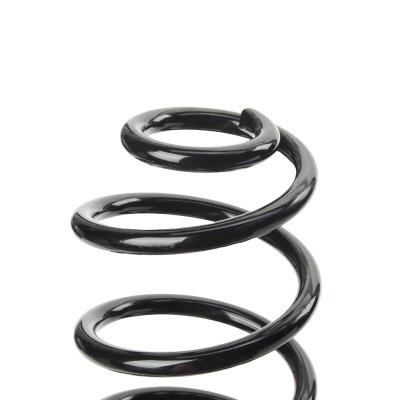 Suspension Spring RIDEX 188C0383 188C0383 - photo 4