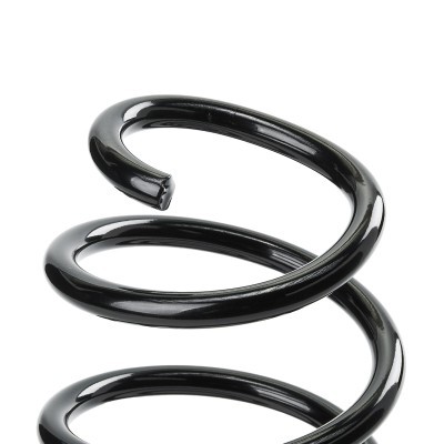 Suspension Spring RIDEX 188C0780 188C0780 - photo 3