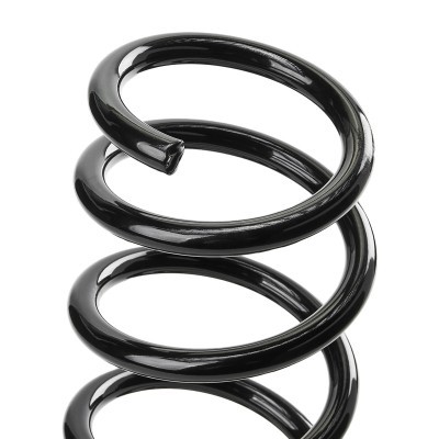 Suspension Spring RIDEX 188C0865 188C0865 - photo 4