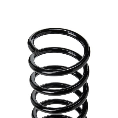 Suspension Spring RIDEX 188C0625 188C0625 - photo 3