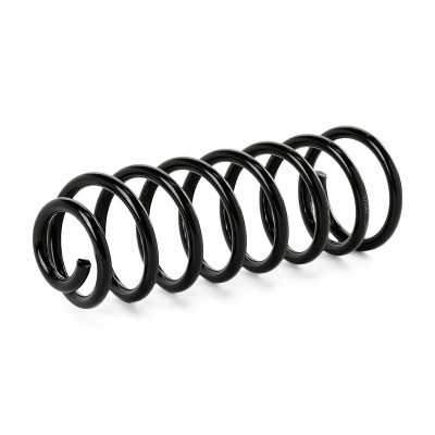 Suspension Spring RIDEX 188C0601 188C0601 - photo 3