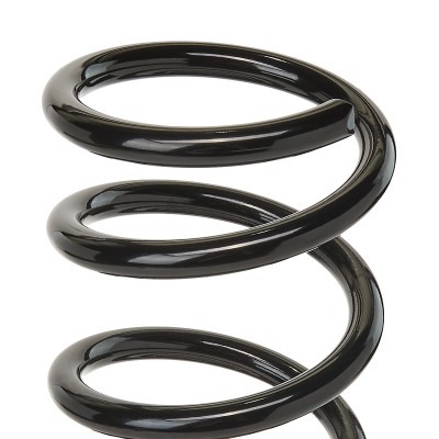 Suspension Spring RIDEX 188C0115 188C0115 - photo 3