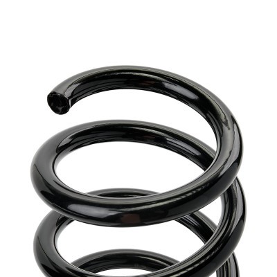 Suspension Spring RIDEX 188C0890 188C0890 - photo 4