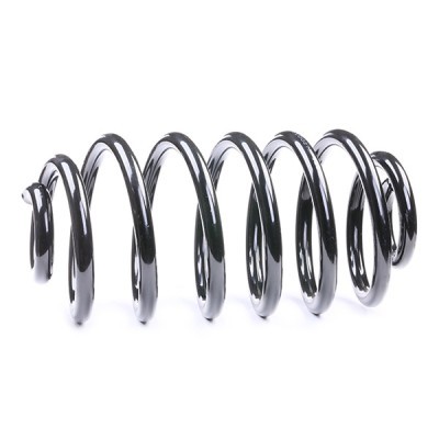 Suspension Spring RIDEX 188C0061 188C0061 - photo 4