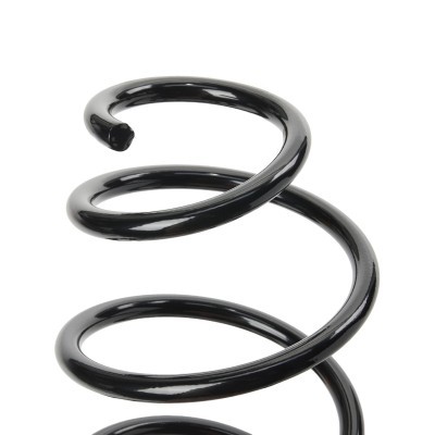 Suspension Spring RIDEX 188C0794 188C0794 - photo 4