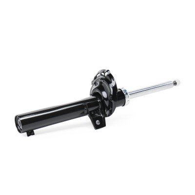 Shock Absorber RIDEX 854S2450 854S2450 - photo 5