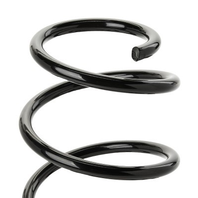 Suspension Spring RIDEX 188C1748 188C1748 - photo 3