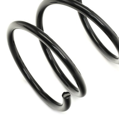 Suspension Spring RIDEX 188C0605 188C0605 - photo 4
