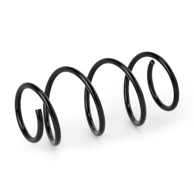 Suspension Spring RIDEX 188C0829 188C0829 - photo 2