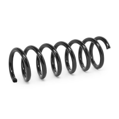 Suspension Spring RIDEX 188C2492 188C2492 - photo 2
