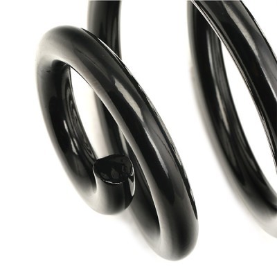 Suspension Spring RIDEX 188C0318 188C0318 - photo 4