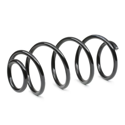 Suspension Spring RIDEX 188C1255 188C1255 - photo 3