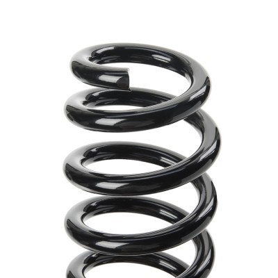 Suspension Spring RIDEX 188C1579 188C1579 - photo 3