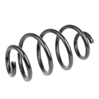 Suspension Spring RIDEX 188C0491 188C0491 - photo 2