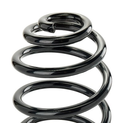 Suspension Spring RIDEX 188C0905 188C0905 - photo 4
