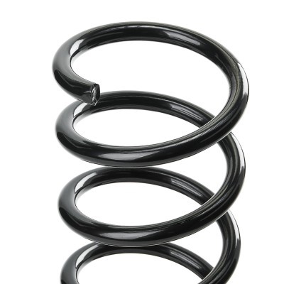 Suspension Spring RIDEX 188C0291 188C0291 - photo 4