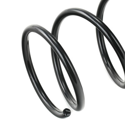 Suspension Spring RIDEX 188C0428 188C0428 - photo 4