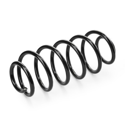 Suspension Spring RIDEX 188C0976 188C0976 - photo 3