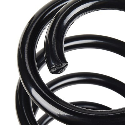 Suspension Spring RIDEX 188C0900 188C0900 - photo 4