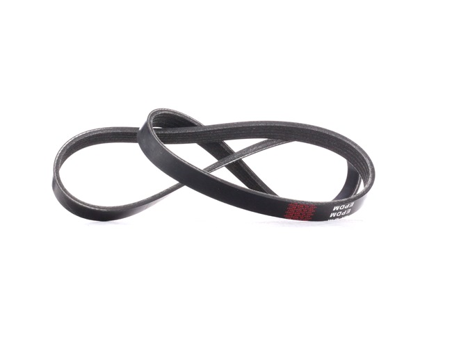 V-Ribbed Belt Stark SKPB-0090067 SKPB-0090067 - photo 1