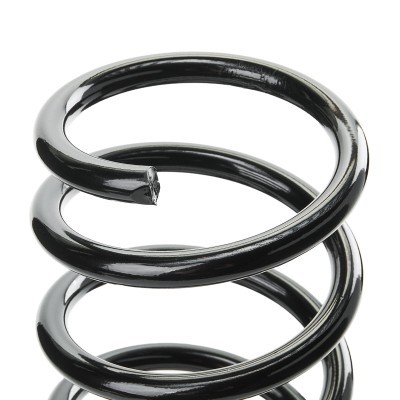 Suspension Spring RIDEX 188C0693 188C0693 - photo 4