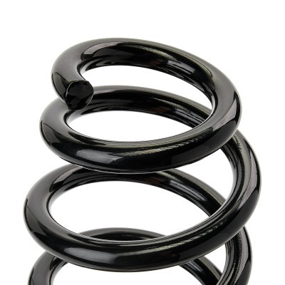 Suspension Spring RIDEX 188C1027 188C1027 - photo 4