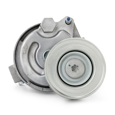 Belt Tensioner V-Ribbed Belt RIDEX 310T0603 310T0603 - photo 5