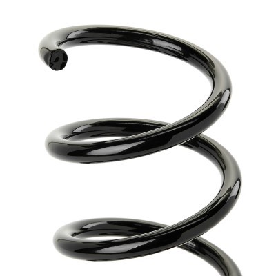 Suspension Spring RIDEX 188C1813 188C1813 - photo 3