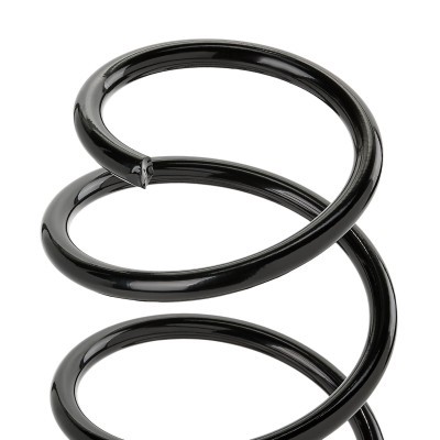 Suspension Spring RIDEX 188C1620 188C1620 - photo 3