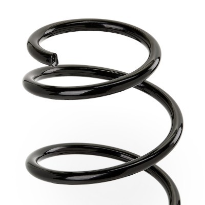 Suspension Spring RIDEX 188C0869 188C0869 - photo 3