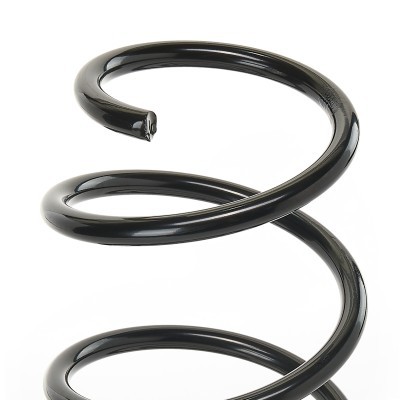 Suspension Spring RIDEX 188C0293 188C0293 - photo 5
