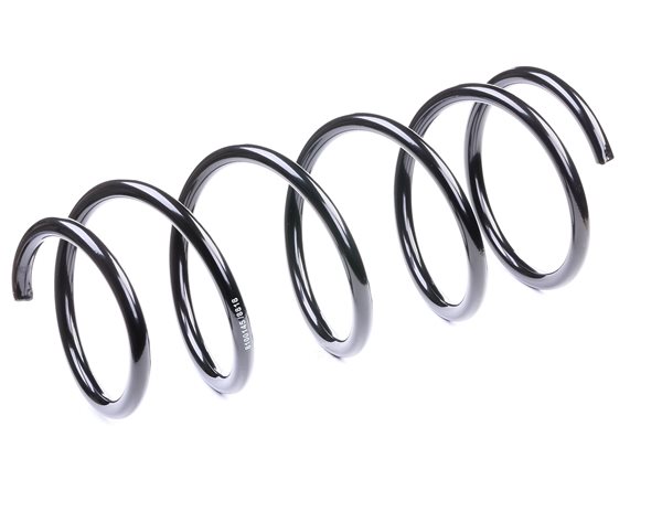 Suspension Spring RIDEX 188C0198 188C0198 - photo 1