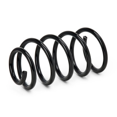Suspension Spring RIDEX 188C0830 188C0830 - photo 2
