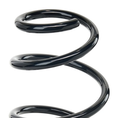 Suspension Spring RIDEX 188C1207 188C1207 - photo 3