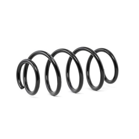 Suspension Spring RIDEX 188C0399 188C0399 - photo 1