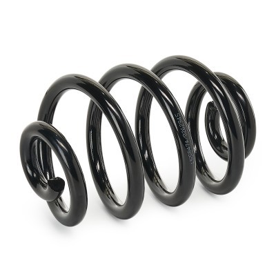 Suspension Spring RIDEX 188C0118 188C0118 - photo 3