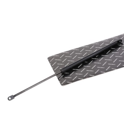 Gas Spring, boot-/cargo area RIDEX 219G0884 219G0884 - photo 2