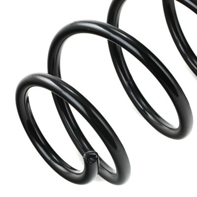 Suspension Spring RIDEX 188C0493 188C0493 - photo 4