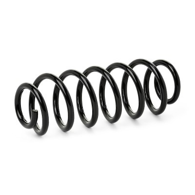 Suspension Spring RIDEX 188C0907 188C0907 - photo 2