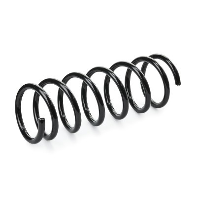 Suspension Spring RIDEX 188C0733 188C0733 - photo 3