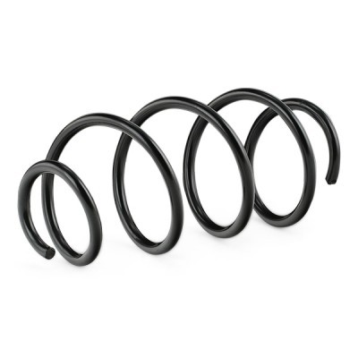 Suspension Spring RIDEX 188C0549 188C0549 - photo 3
